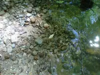 IMG00211-20100518-1506.webp