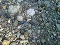 IMG00214-20100518-1812.webp