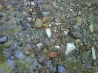 IMG00215-20100518-1908.webp
