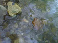IMG00216-20100518-1942.webp