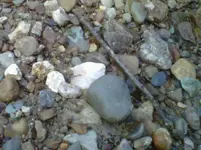 IMG00218-20100518-2007.webp