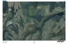 odd image 3.webp
