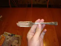 DSC00120.webp