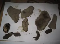 kapina5.webp