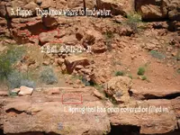 rockwallleft.webp
