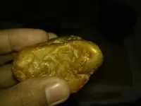gold3.webp