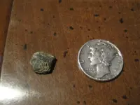 tinifossil1.webp