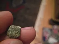 tinifossil2.webp