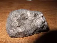 tn (Small).webp