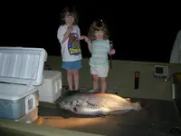 bigfish2.1.webp
