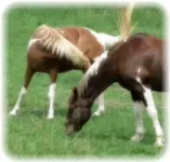 l_2d37b260c3454dfb869c0b6bc06a9e30.webp