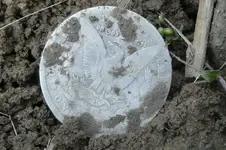 Back of Silver dollar.webp