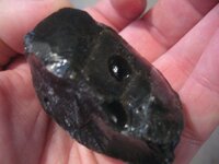 What are these shiny black rocks I keep finding randomly around my chicken  coop? : r/geology