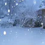 march snow 002 (Medium).webp