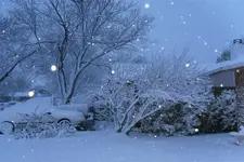 march snow 003 (Small).webp