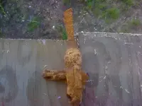 possum 020.webp