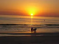 CIMG0820.webp