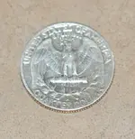 silver_back.webp