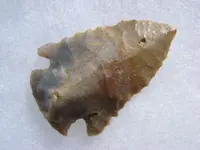 phpeKTCPyAM.webp