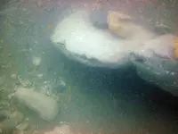 more boulders.webp
