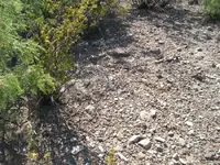 100_6571.webp
