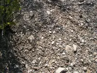 100_6572.webp