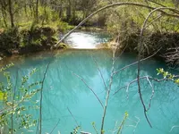 100_2654.webp