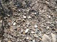 100_6573.webp