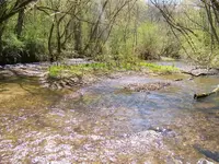 100_2644.webp