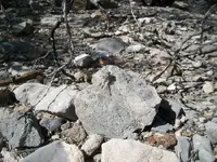 100_6566.webp