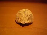 Metal Detecting 3-19-2010 002.webp