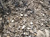 100_6573.webp