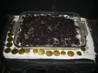 bdaygold 002.webp
