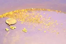 gold pics new 004.webp