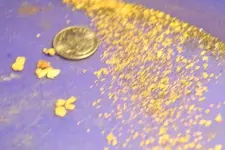 gold pics new 005.webp