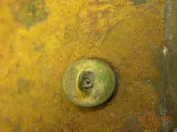 gw button b.webp