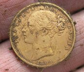 Gold Coin 002.JPG
