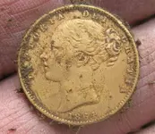 Gold Coin 002.webp