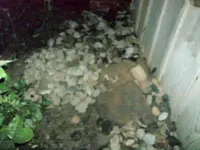 pile 001.webp