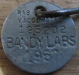dogtag4.webp