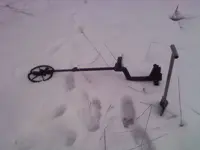 0302001323.webp
