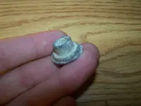 easter 2010 024.webp