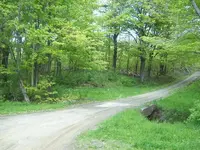 103_0694.webp