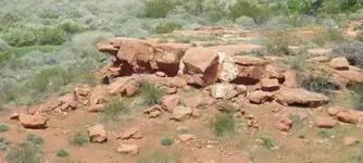 north2.webp