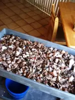 bulk fire agate 2.webp