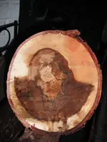DSCF0377.webp