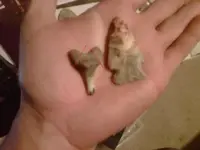 IMG00204-20100517-2156mod.webp