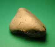 p_00218.webp