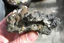 DSCN0546.webp