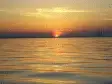 avatar_35813.webp